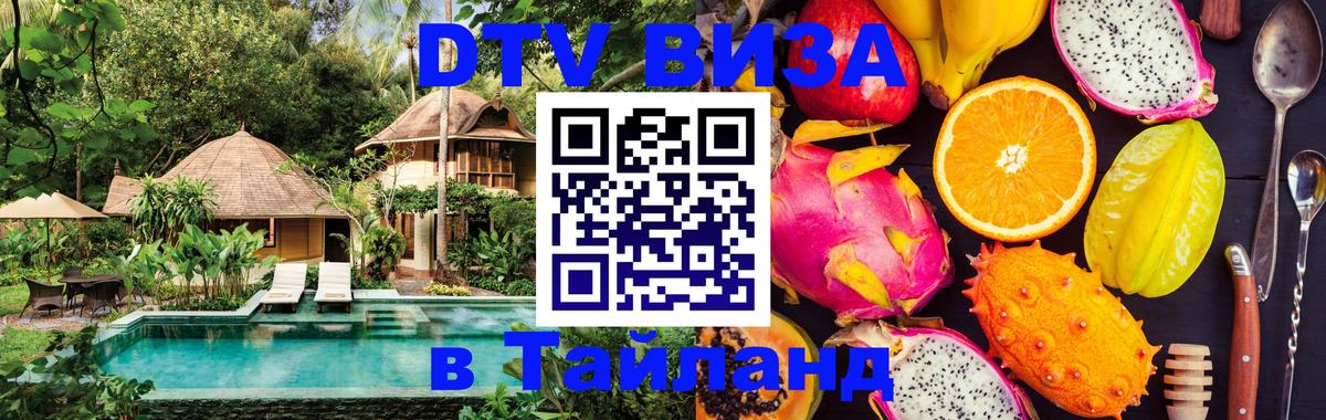Оформление DTV визы под ключ: стоимость и тарифы, только загранпаспорт - 18.11.2025 